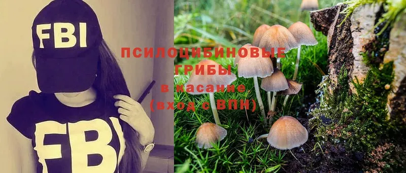 Галлюциногенные грибы Cubensis  купить  цена  omg ссылка  Электрогорск 